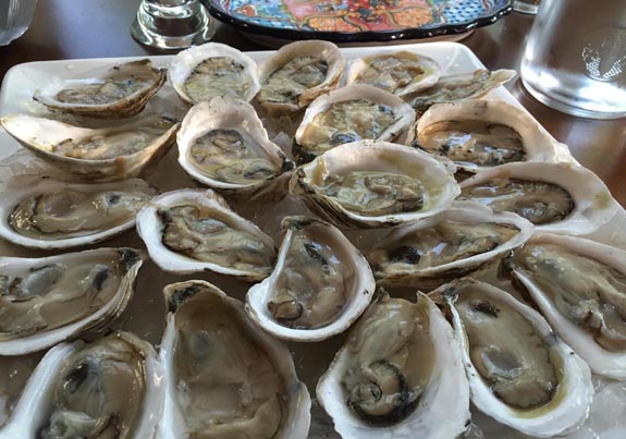 Spearpoint Oysters on the half-shell